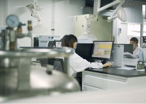 生產活力有序恢復，儀器儀表綜合服務與物聯網應用雙輪驅動助力企業提質增效